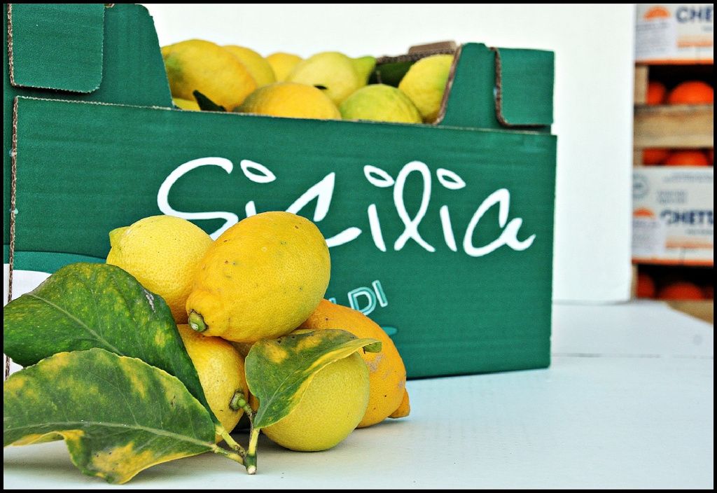 Bio-fruit-trade Ohg - Hanau